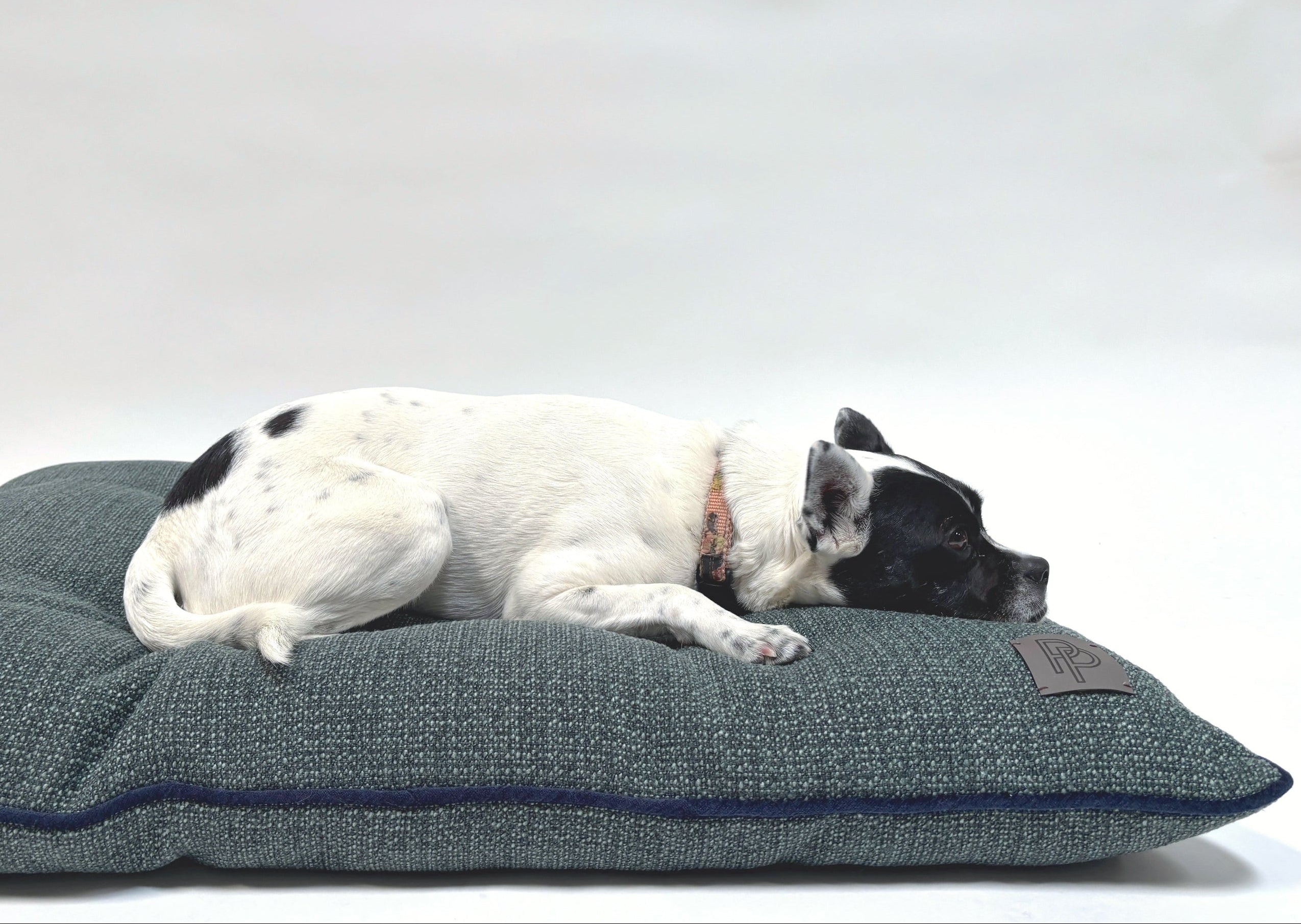 dog lying on a green custom made dog bed