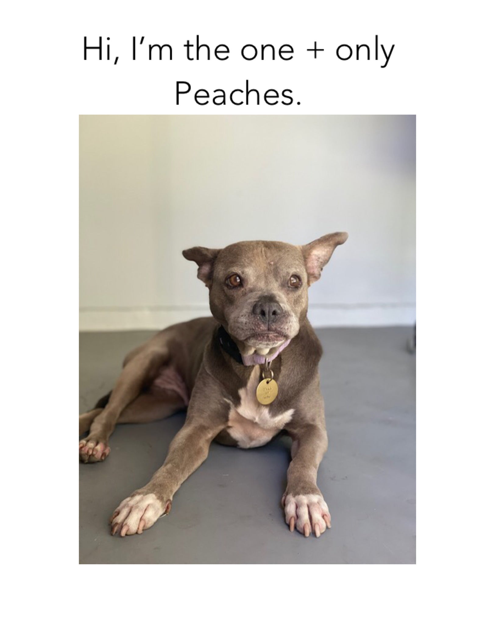 The Peaches