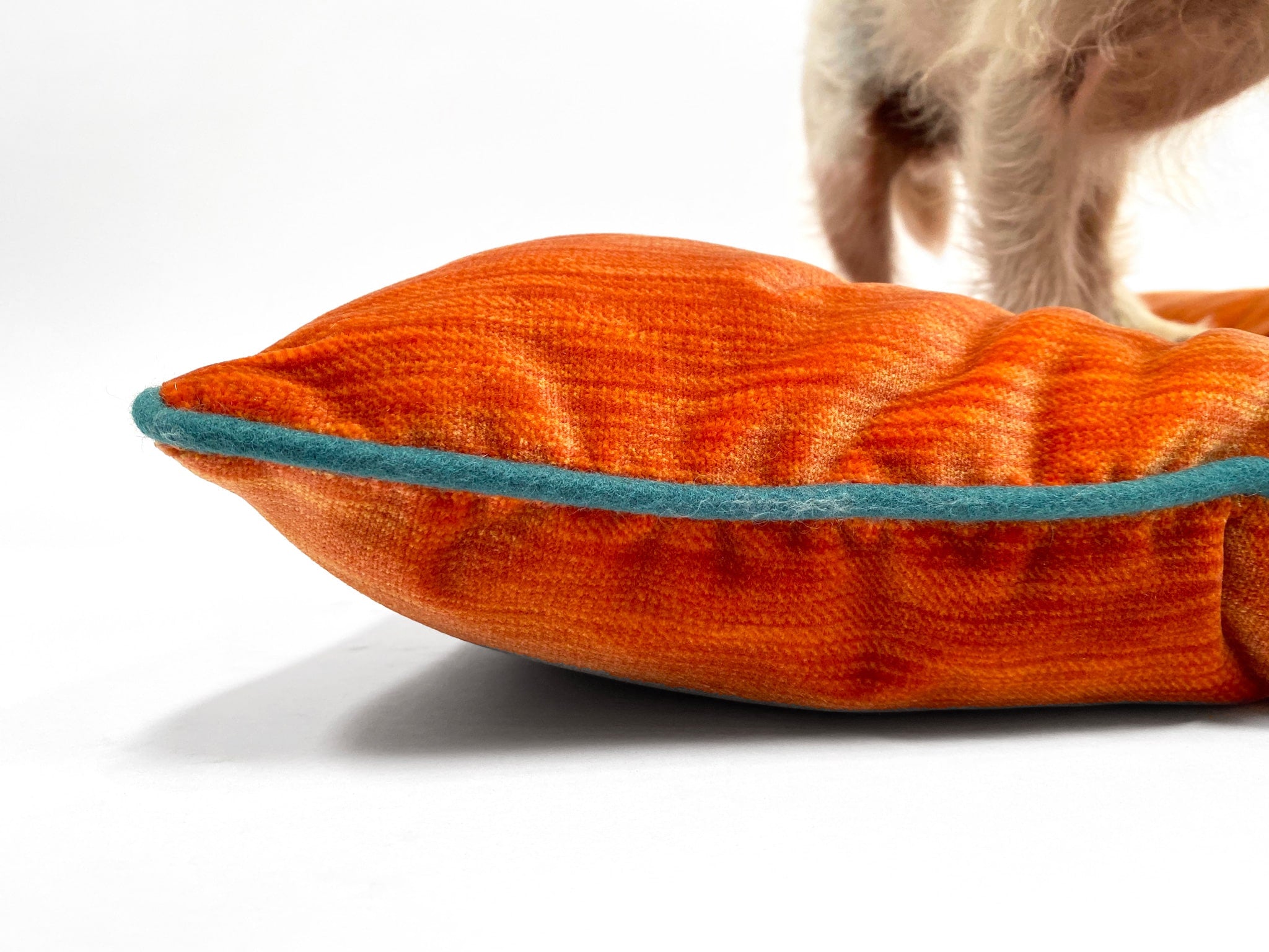 Solid Tangerine