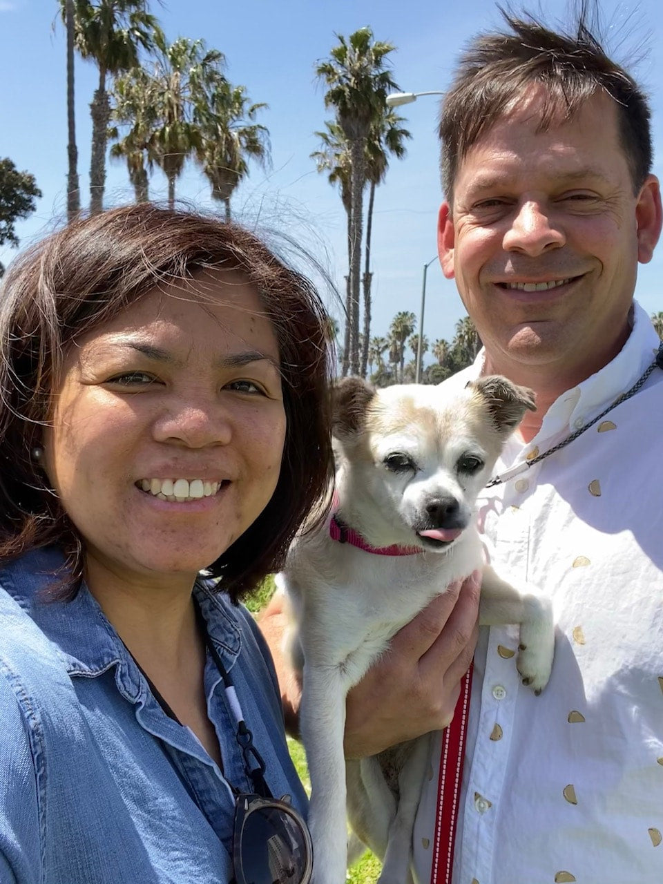This is fostering: 60+ (and counting)