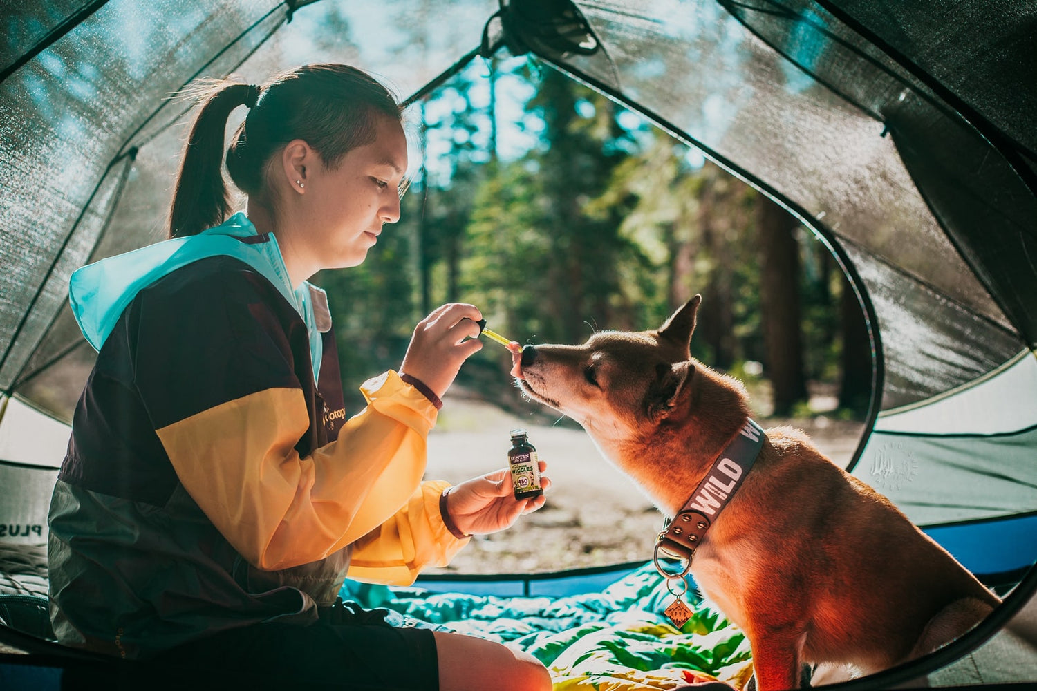The Lowdown on the Best Pet CBDs