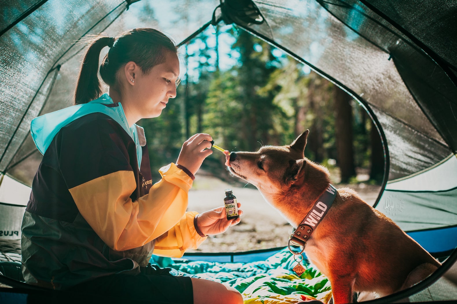 The Lowdown on the Best Pet CBDs