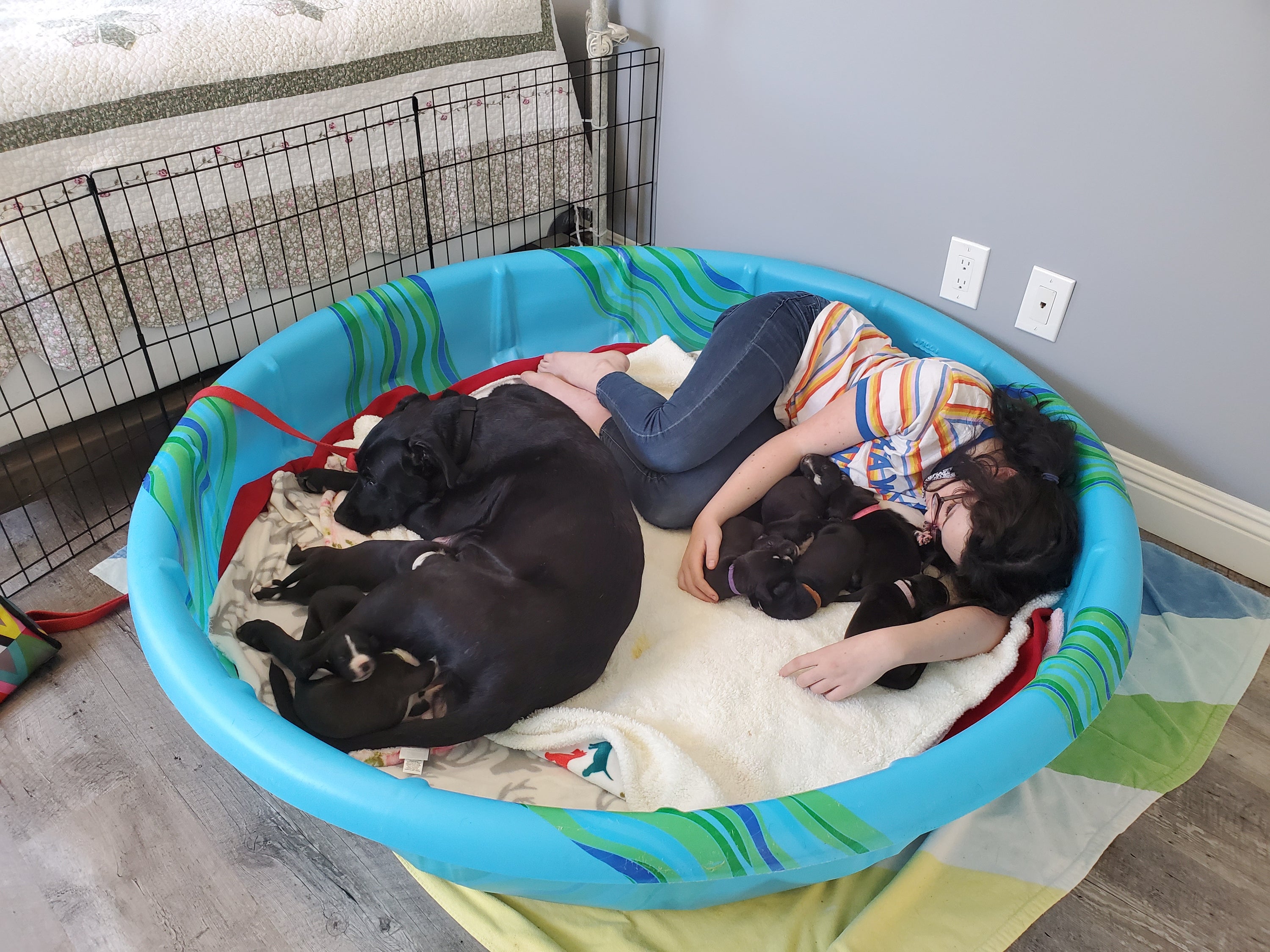 Woman laying with foster puppies