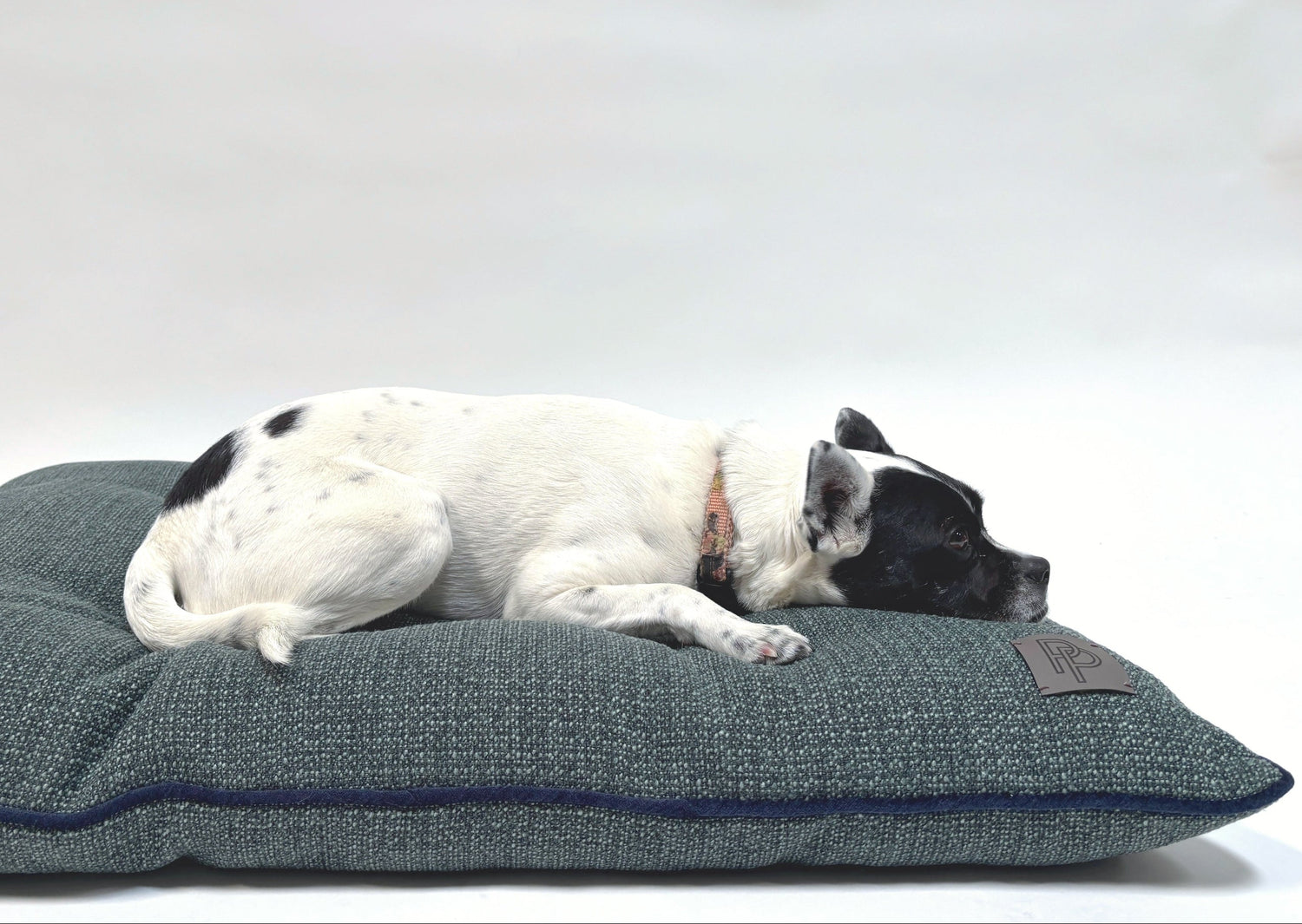 dog lying on a green custom made dog bed 